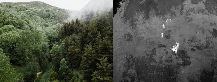 Як бачить тепловізор через дерева Вид крізь дерева