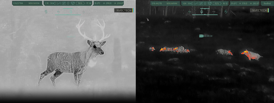 Що можна побачити в тепловізорі Погляд на тварин крізь тепловізор