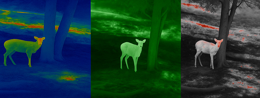 Кольорові палітри Три різних колірних палітри тепловізійного зображення